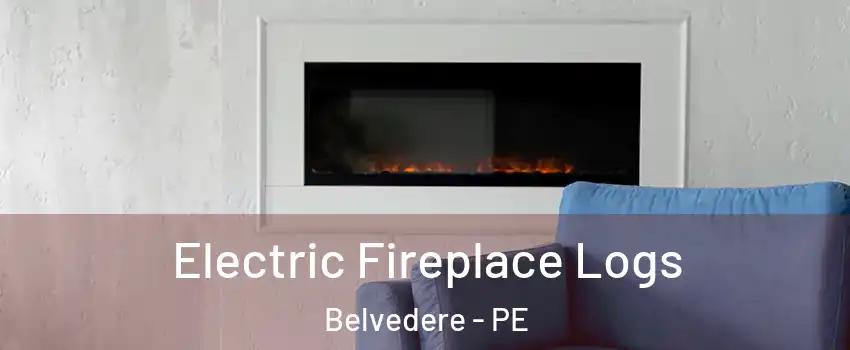  Electric Fireplace Logs Belvedere - PE