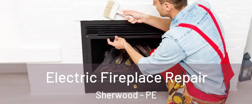  Electric Fireplace Repair Sherwood - PE