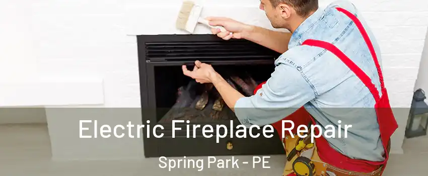  Electric Fireplace Repair Spring Park - PE