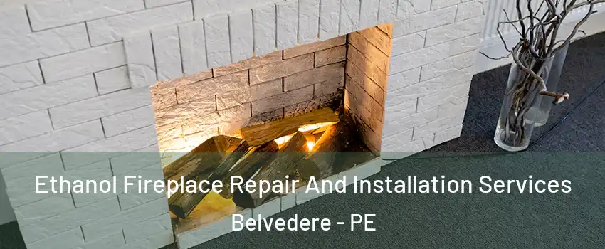 Ethanol Fireplace Repair And Installation Services Belvedere - PE