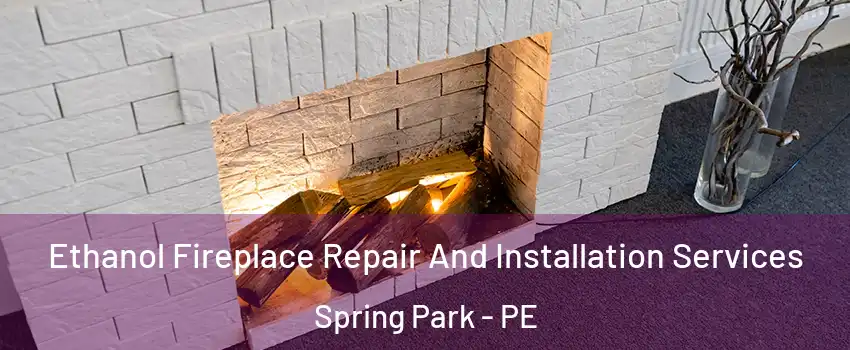  Ethanol Fireplace Repair And Installation Services Spring Park - PE