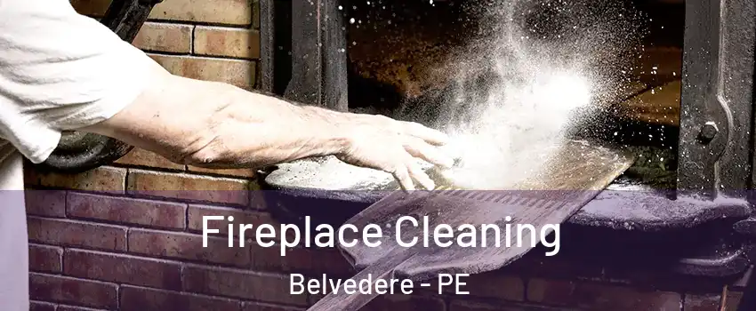  Fireplace Cleaning Belvedere - PE