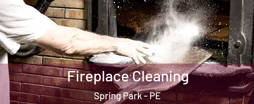  Fireplace Cleaning Spring Park - PE