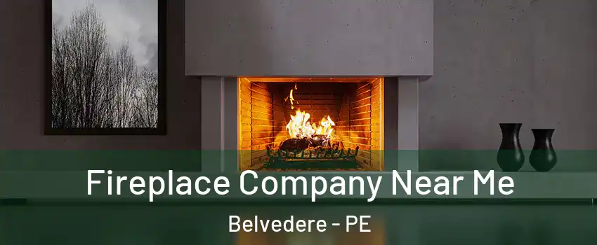 Fireplace Company Near Me Belvedere - PE