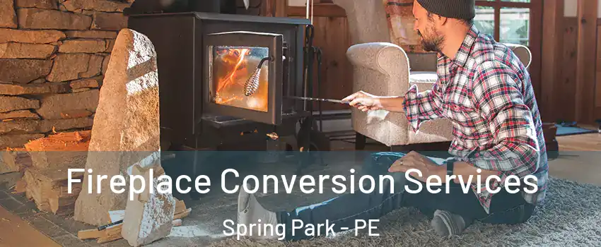  Fireplace Conversion Services Spring Park - PE