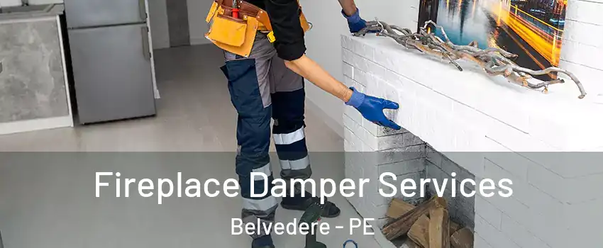  Fireplace Damper Services Belvedere - PE