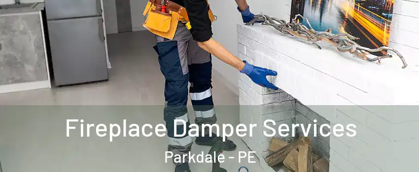  Fireplace Damper Services Parkdale - PE