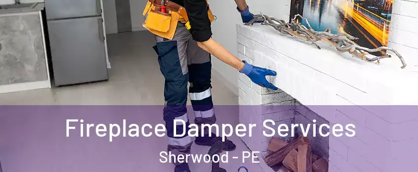  Fireplace Damper Services Sherwood - PE