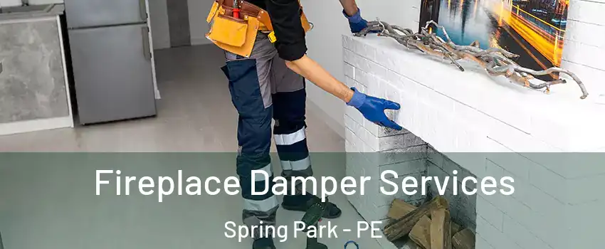 Fireplace Damper Services Spring Park - PE