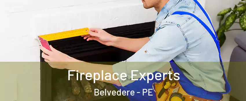  Fireplace Experts Belvedere - PE