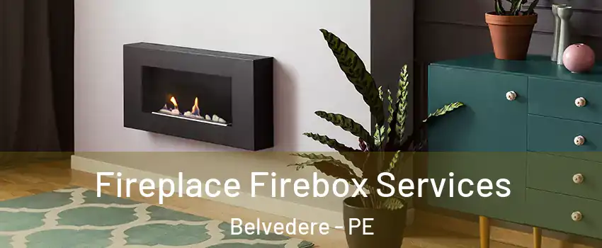  Fireplace Firebox Services Belvedere - PE