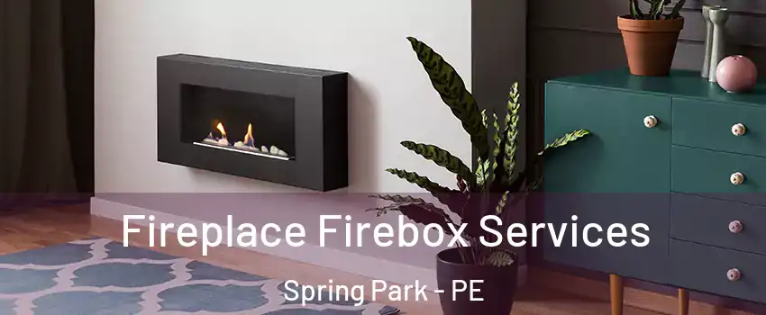  Fireplace Firebox Services Spring Park - PE