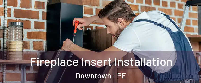  Fireplace Insert Installation Downtown - PE