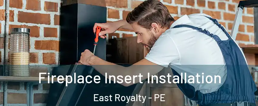  Fireplace Insert Installation East Royalty - PE