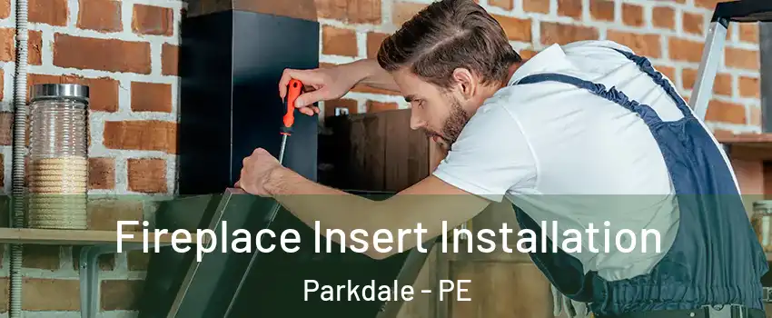  Fireplace Insert Installation Parkdale - PE