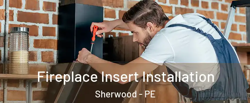  Fireplace Insert Installation Sherwood - PE