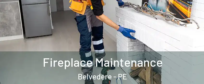  Fireplace Maintenance Belvedere - PE