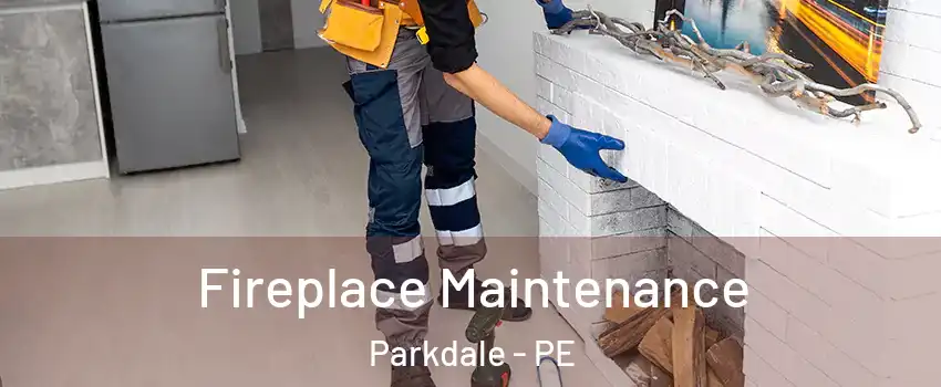  Fireplace Maintenance Parkdale - PE