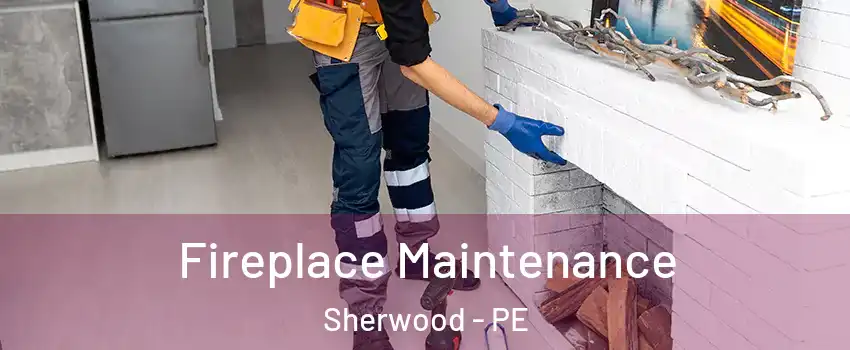 Fireplace Maintenance Sherwood - PE