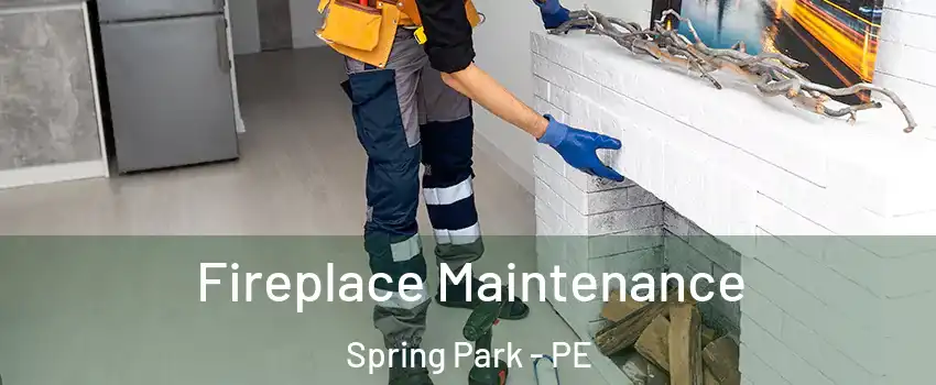  Fireplace Maintenance Spring Park - PE