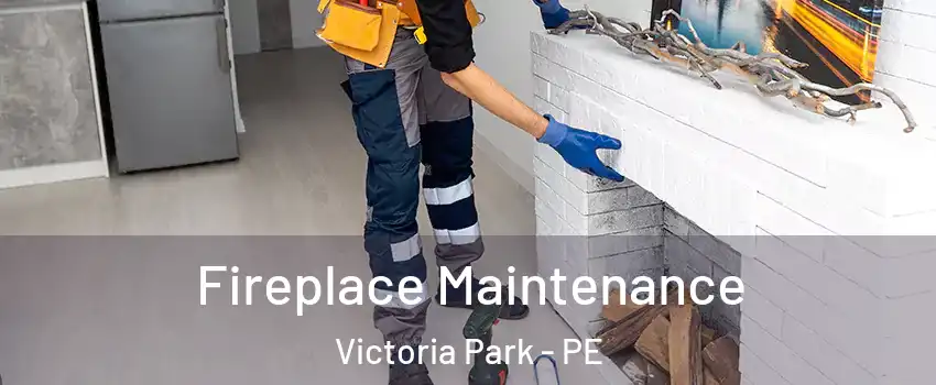  Fireplace Maintenance Victoria Park - PE