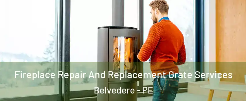  Fireplace Repair And Replacement Grate Services Belvedere - PE