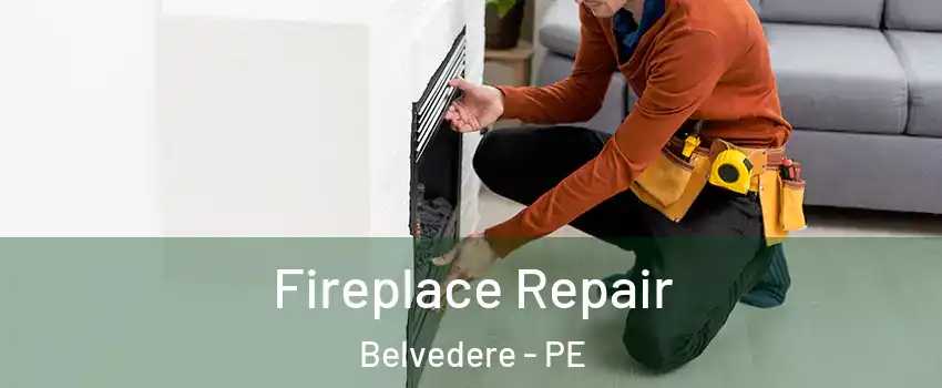  Fireplace Repair Belvedere - PE