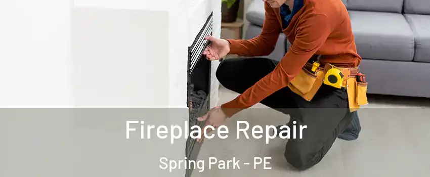  Fireplace Repair Spring Park - PE