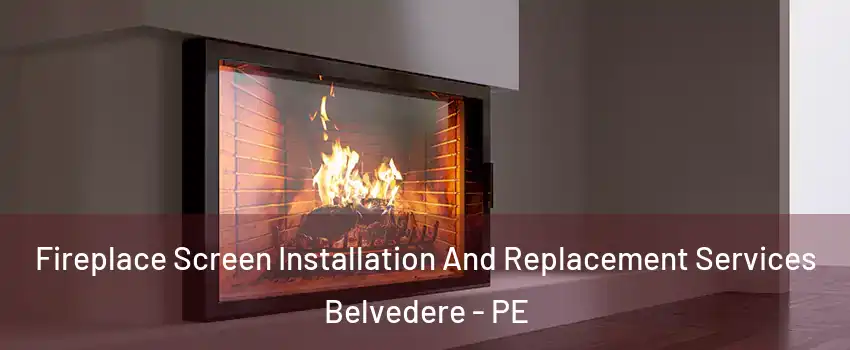 Fireplace Screen Installation And Replacement Services Belvedere - PE