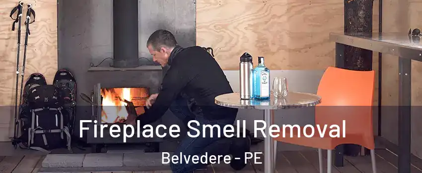  Fireplace Smell Removal Belvedere - PE