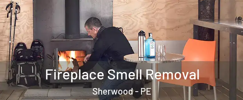  Fireplace Smell Removal Sherwood - PE