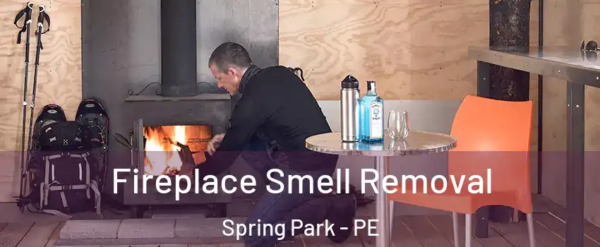  Fireplace Smell Removal Spring Park - PE