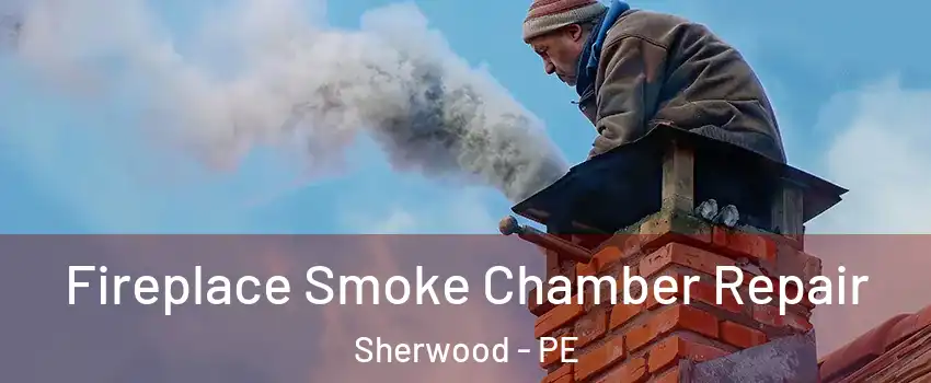  Fireplace Smoke Chamber Repair Sherwood - PE