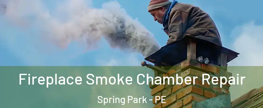  Fireplace Smoke Chamber Repair Spring Park - PE