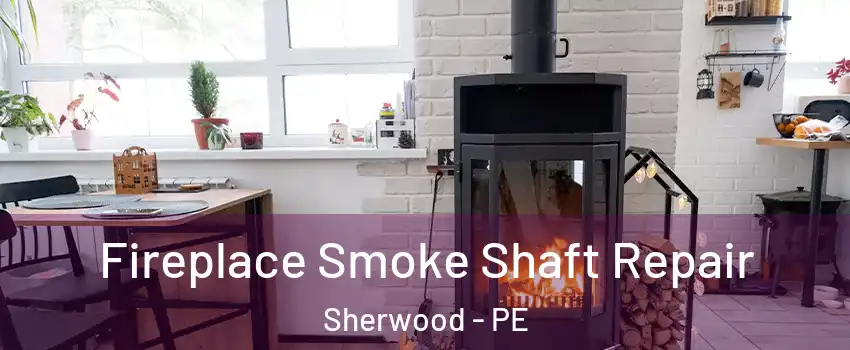 Fireplace Smoke Shaft Repair Sherwood - PE