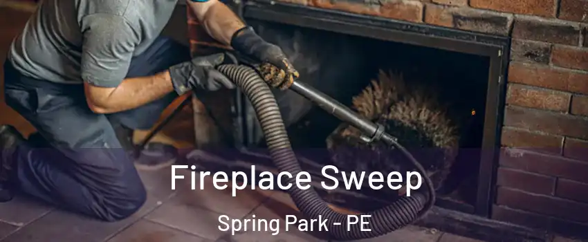  Fireplace Sweep Spring Park - PE