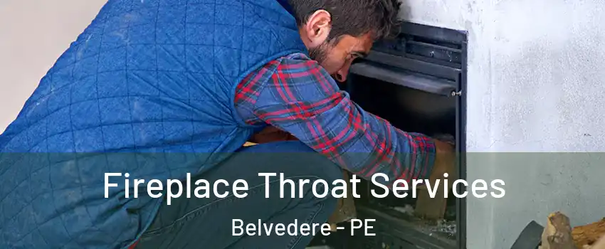  Fireplace Throat Services Belvedere - PE