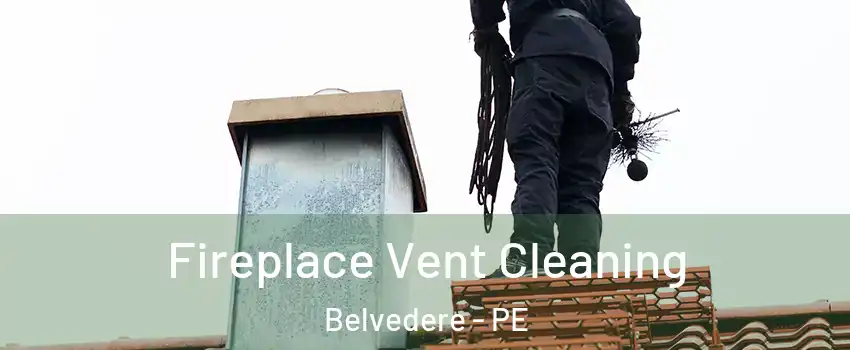  Fireplace Vent Cleaning Belvedere - PE