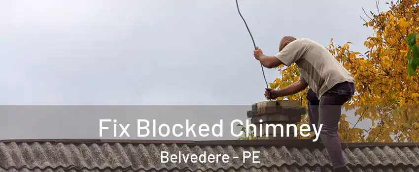  Fix Blocked Chimney Belvedere - PE
