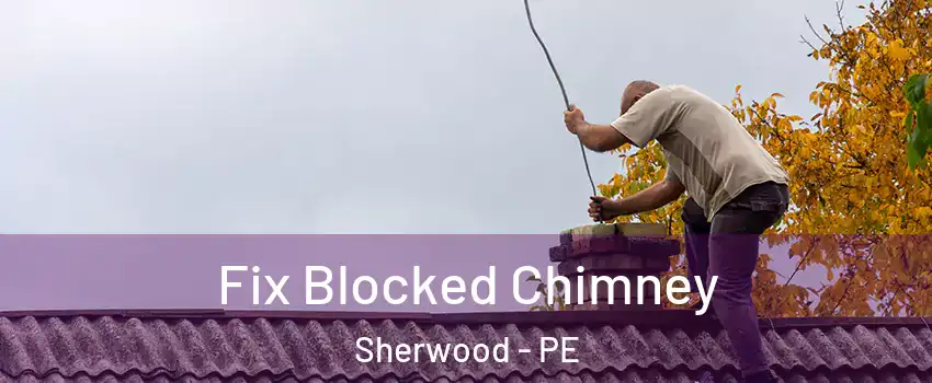  Fix Blocked Chimney Sherwood - PE