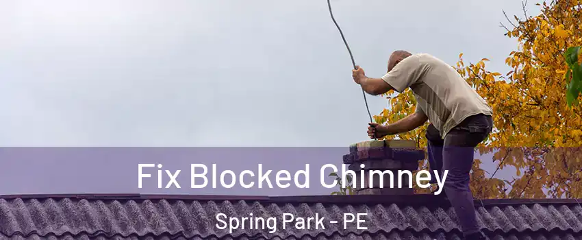  Fix Blocked Chimney Spring Park - PE