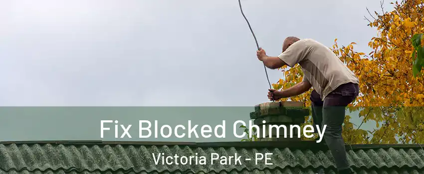  Fix Blocked Chimney Victoria Park - PE