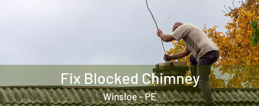  Fix Blocked Chimney Winsloe - PE