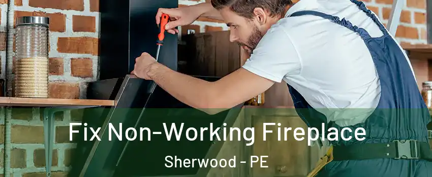  Fix Non-Working Fireplace Sherwood - PE