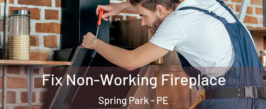  Fix Non-Working Fireplace Spring Park - PE