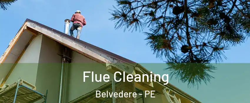  Flue Cleaning Belvedere - PE