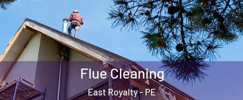  Flue Cleaning East Royalty - PE