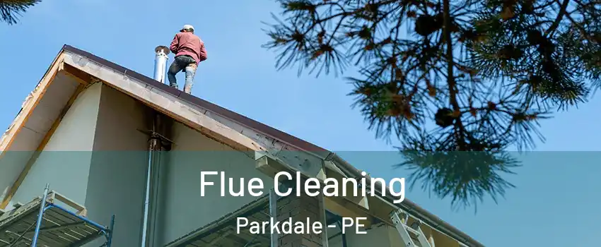  Flue Cleaning Parkdale - PE