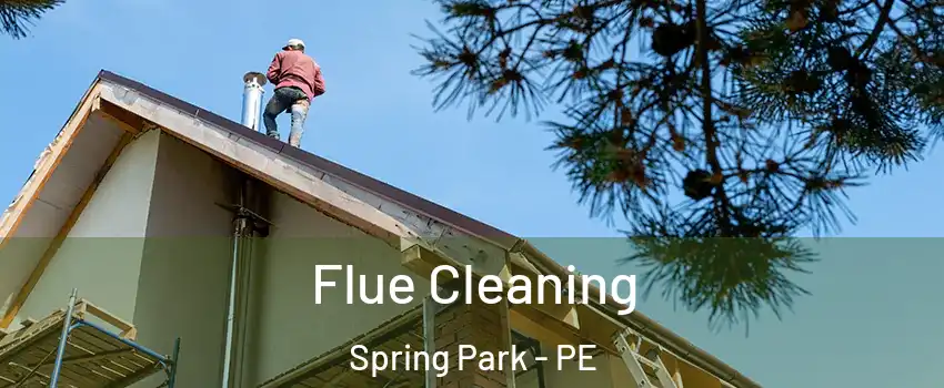  Flue Cleaning Spring Park - PE