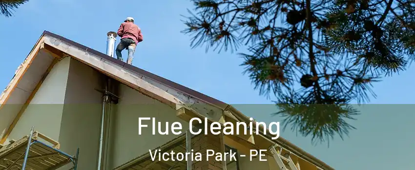  Flue Cleaning Victoria Park - PE